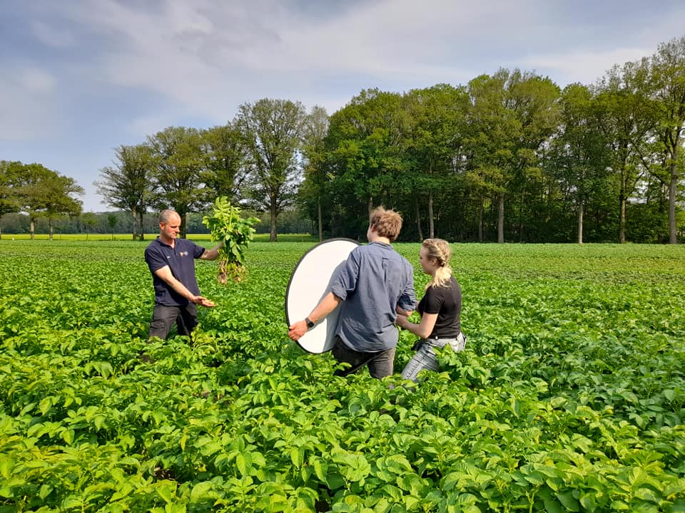 Zijn de jonge aardappelen al zover.